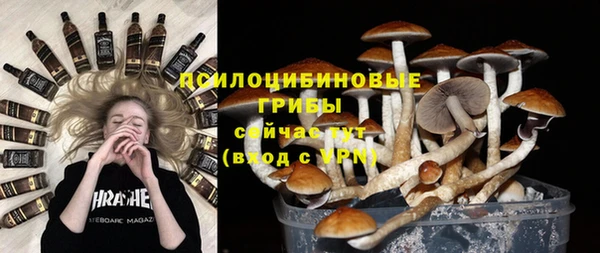 a pvp Абинск