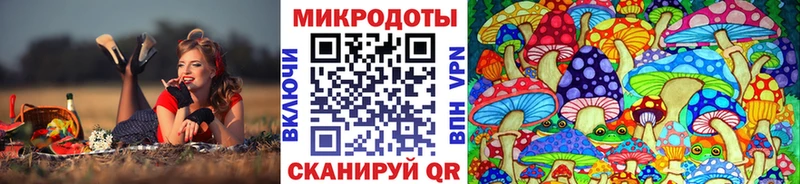 Псилоцибиновые грибы GOLDEN TEACHER  закладки  Абаза 